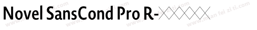 Novel SansCond Pro R字体转换
